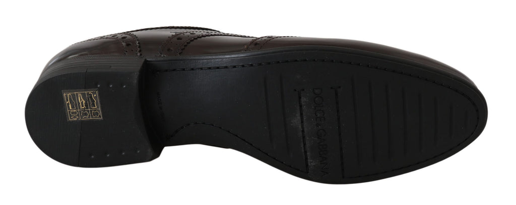 Chaussures brogues en cuir marron de Dolce & Gabbana, Oxford Wingtip avec détails classiques et élégants.