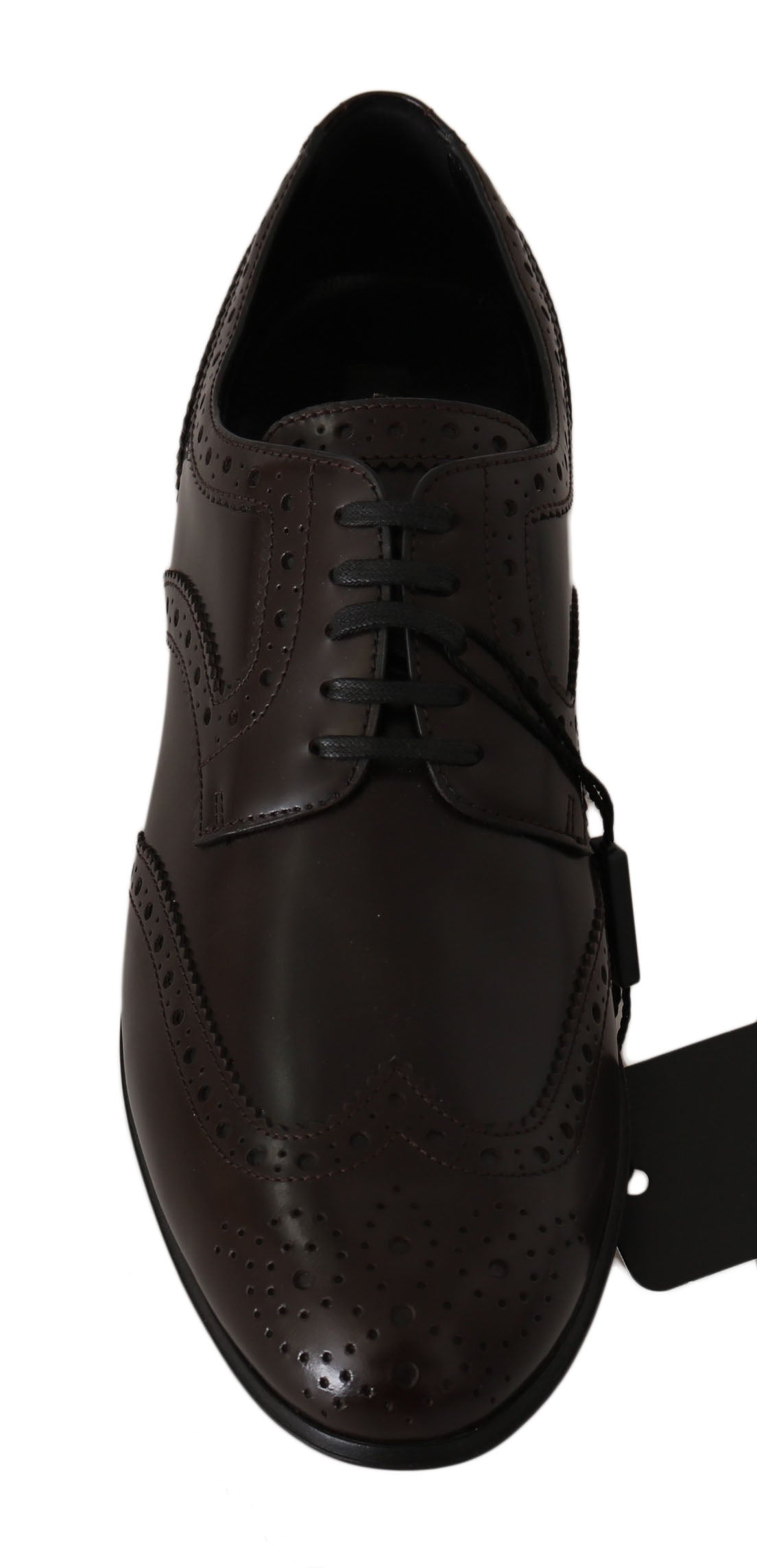 Chaussures brogues en cuir marron Dolce & Gabbana, oxford wingtip, élégantes et sophistiquées, vues de face.