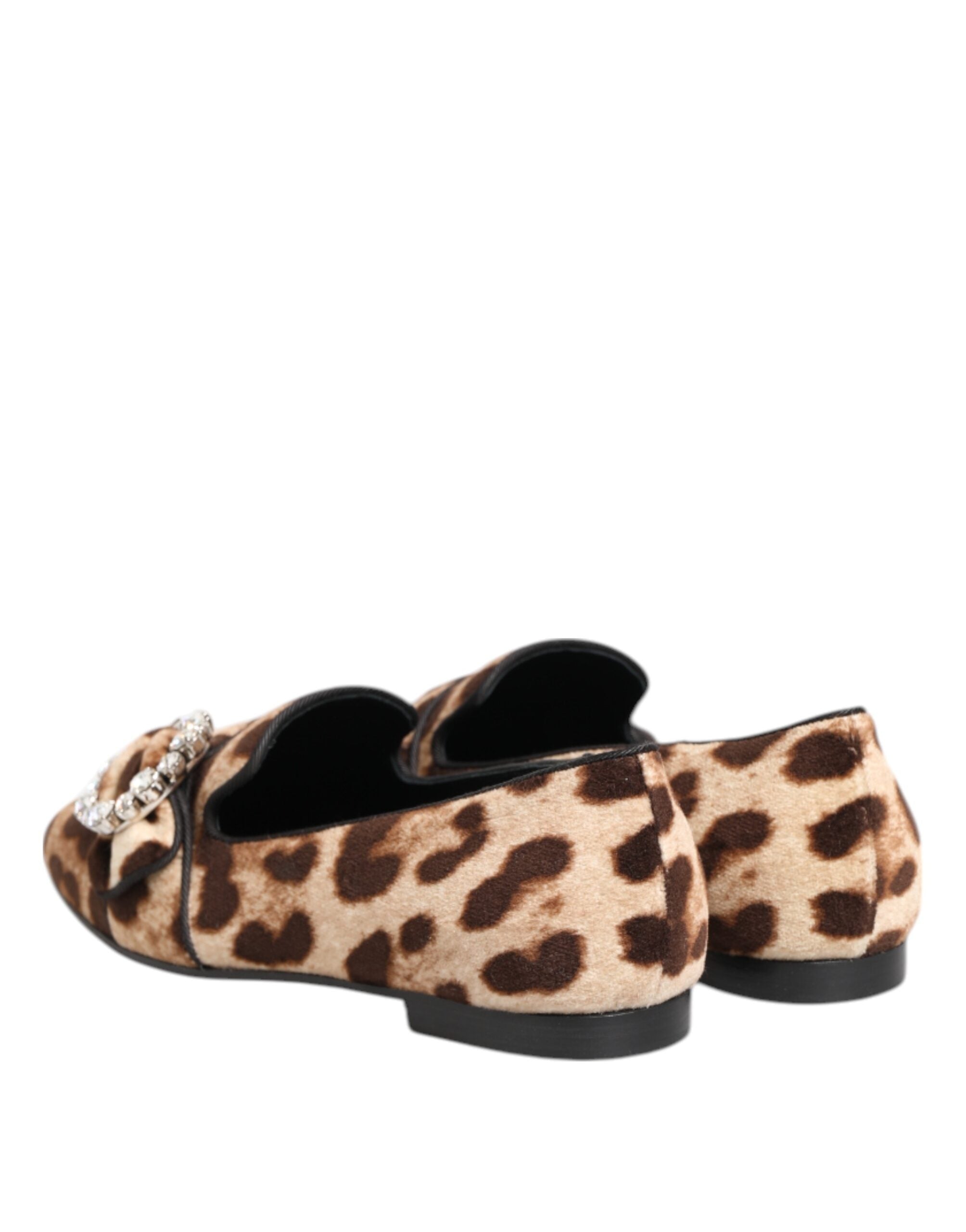 Chaussures Dolce & Gabbana en daim marron avec imprimé léopard et cristaux, mocassins plats élégants pour femmes.