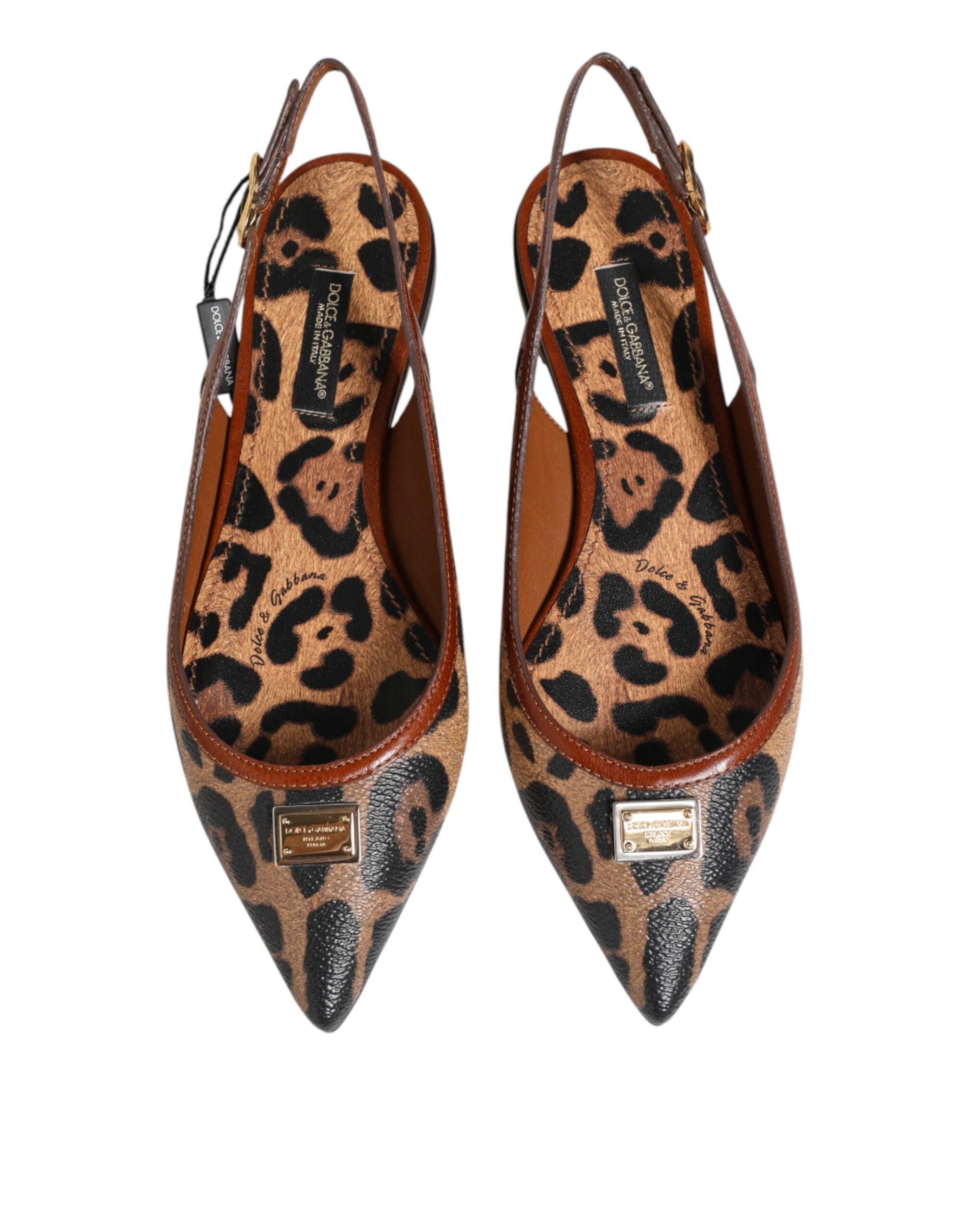 Chaussures ballerines Dolce & Gabbana en daim marron avec motif léopard, sandales à talon bas et bride arrière, élégantes et tendance