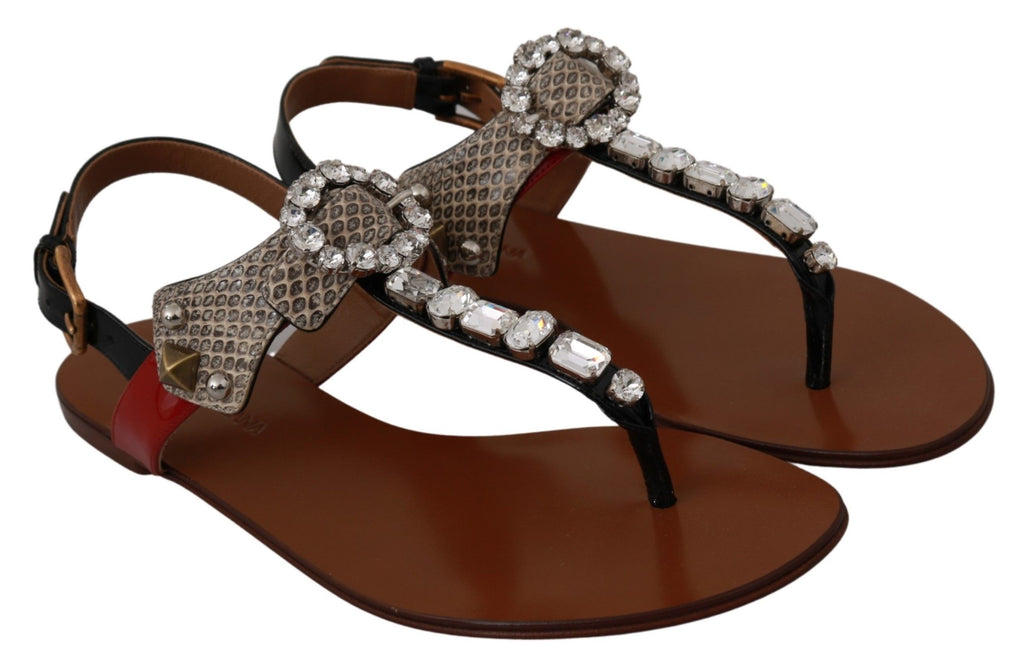 Sandales en cuir Dolce & Gabbana Ayers avec cristaux, sandales à talons pour femme, détails élégants et sophistiqués.