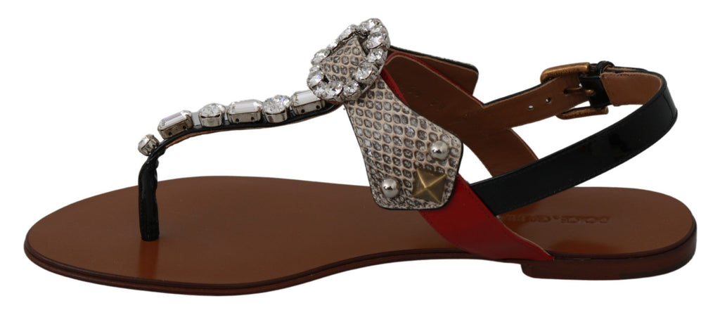 Sandales en cuir Dolce & Gabbana avec cristaux, style sandales flip-flops, chaussures élégantes pour l'été.