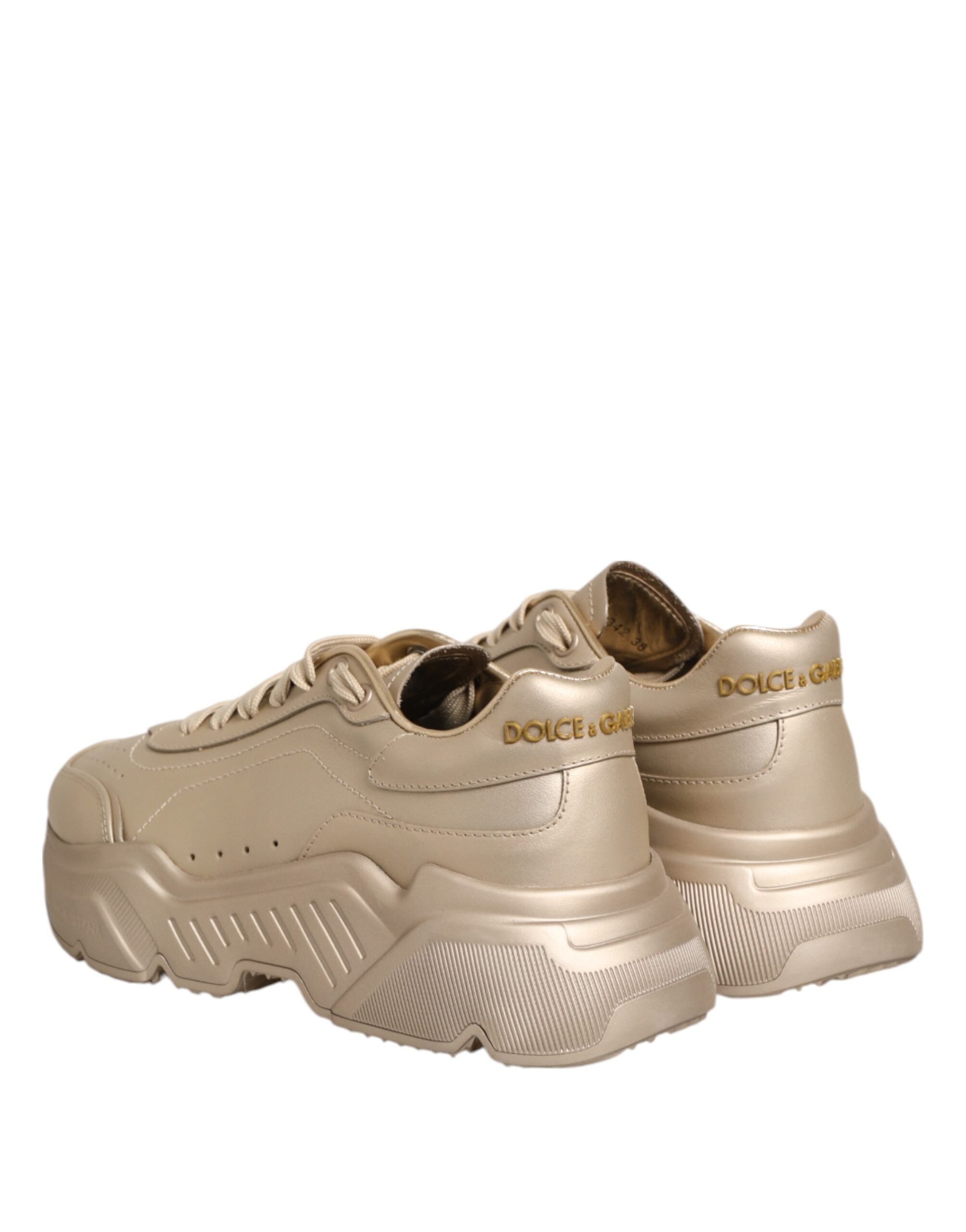 Chaussures sneakers Dolce & Gabbana Daymaster en cuir doré pour femmes, vue de face avec détails élégants.