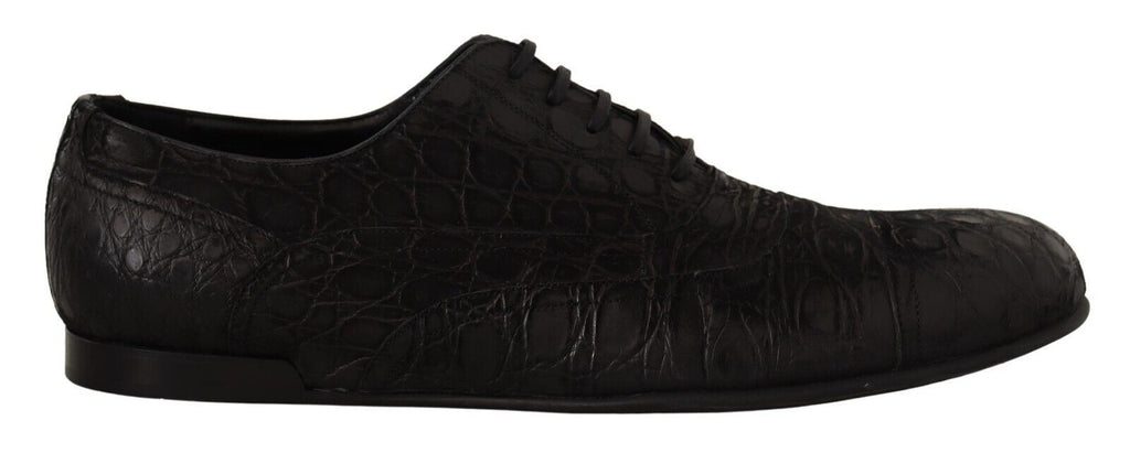 Chaussures Oxford pour homme Dolce & Gabbana en cuir de caïman noir, élégantes et sophistiquées.
