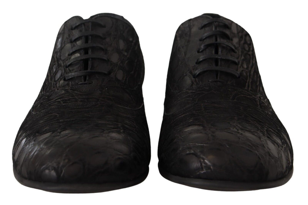 Chaussures Oxford en cuir de caïman noir pour homme de Dolce & Gabbana, élégantes et sophistiquées.
