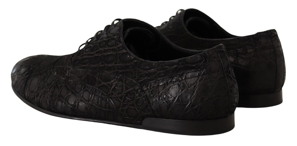 Chaussures Oxford pour homme en cuir de caïman noir de Dolce & Gabbana, élégantes et sophistiquées.