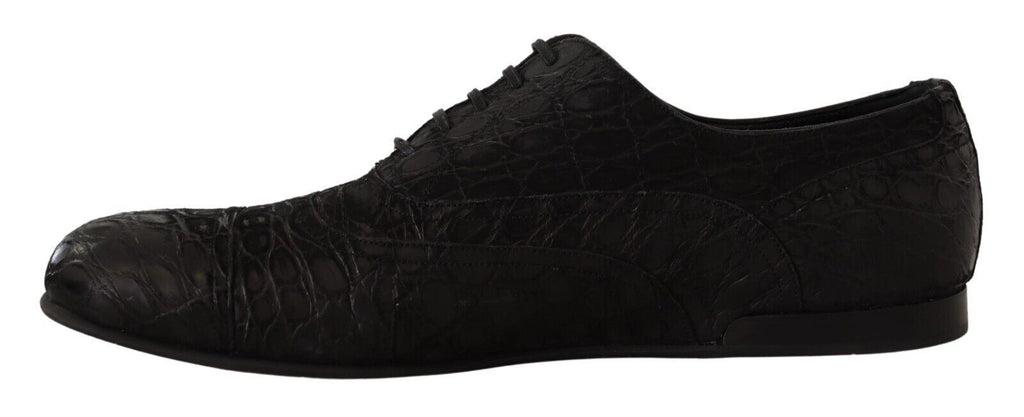 Chaussures Oxford pour homme en cuir de caïman noir de Dolce & Gabbana, élégantes et sophistiquées.