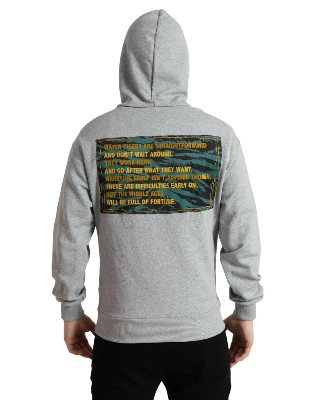 Sweat à capuche gris dolce & gabbana en coton avec graphique rectangulaire tigre au dos en couleurs teal or et noir