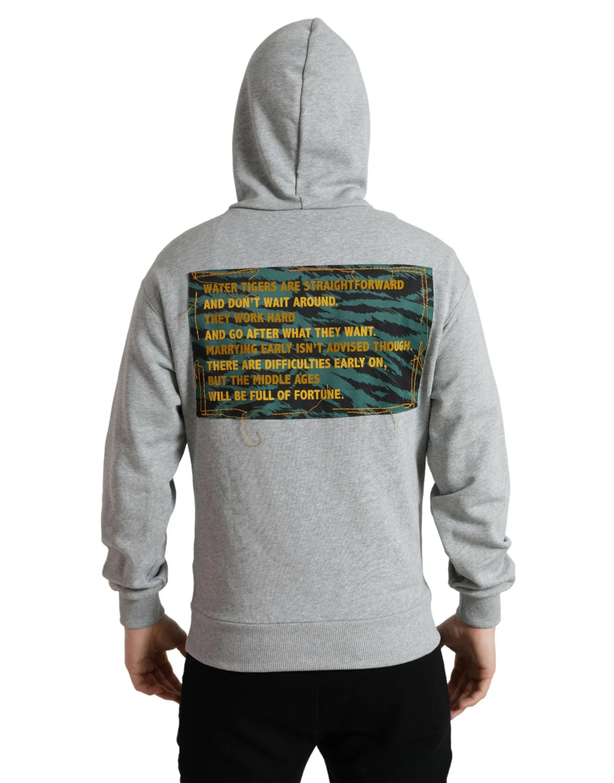 Sweat à capuche gris dolce & gabbana en coton avec graphique rectangulaire tigre au dos en couleurs teal or et noir