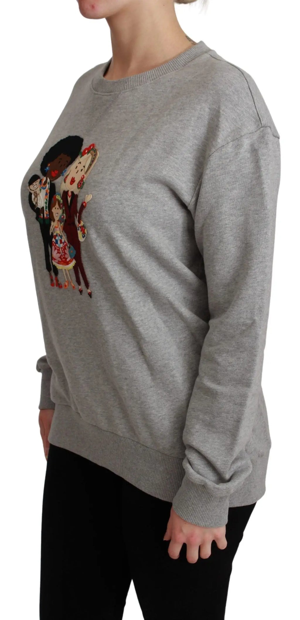 Dolce & Gabbana sweat en coton gris avec motif brodé coloré de personnages de dessin animé dgfamily