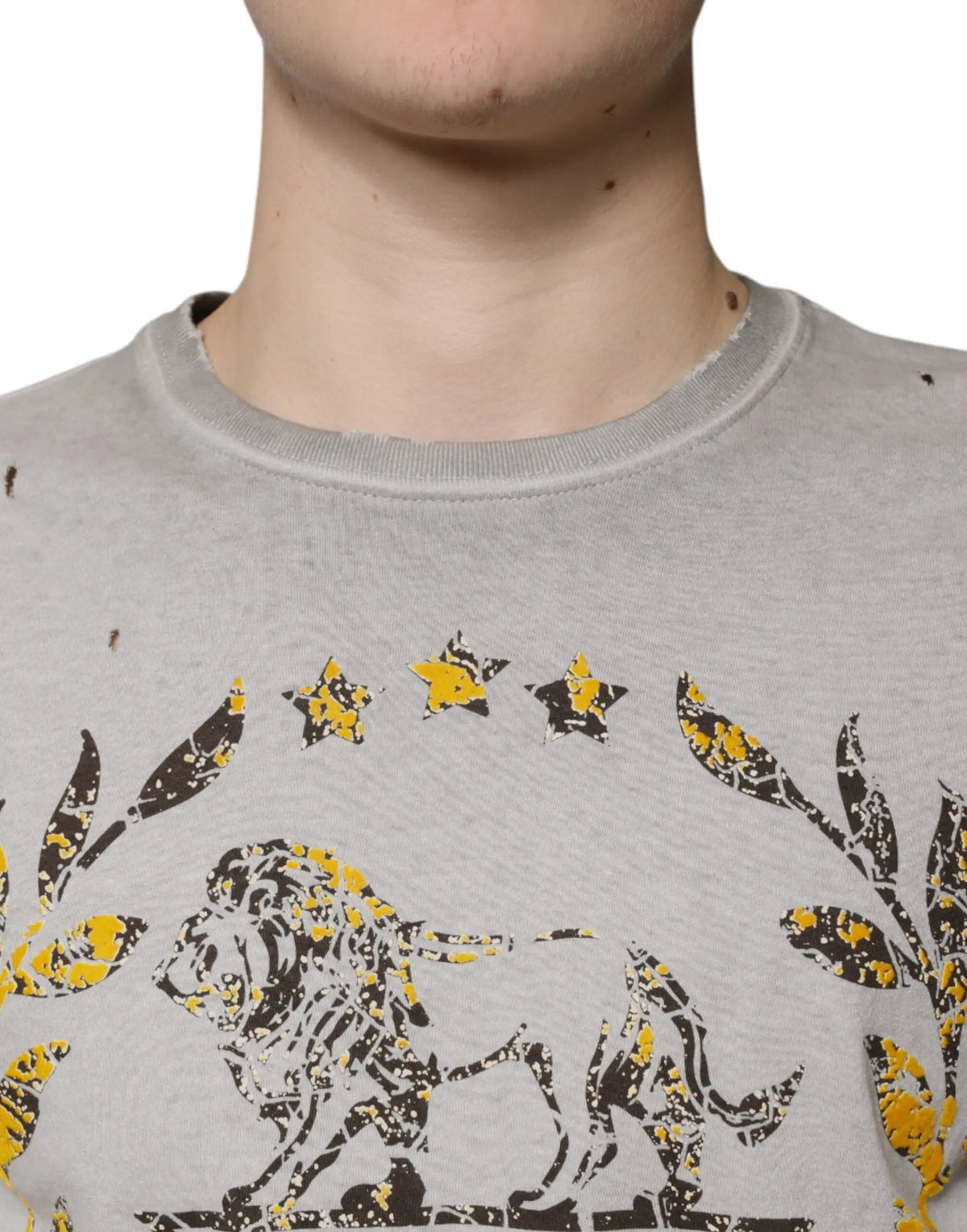 Sweat-shirt dolce & gabbana gris en coton avec motif lion noir et jaune étoiles et branches feuillues