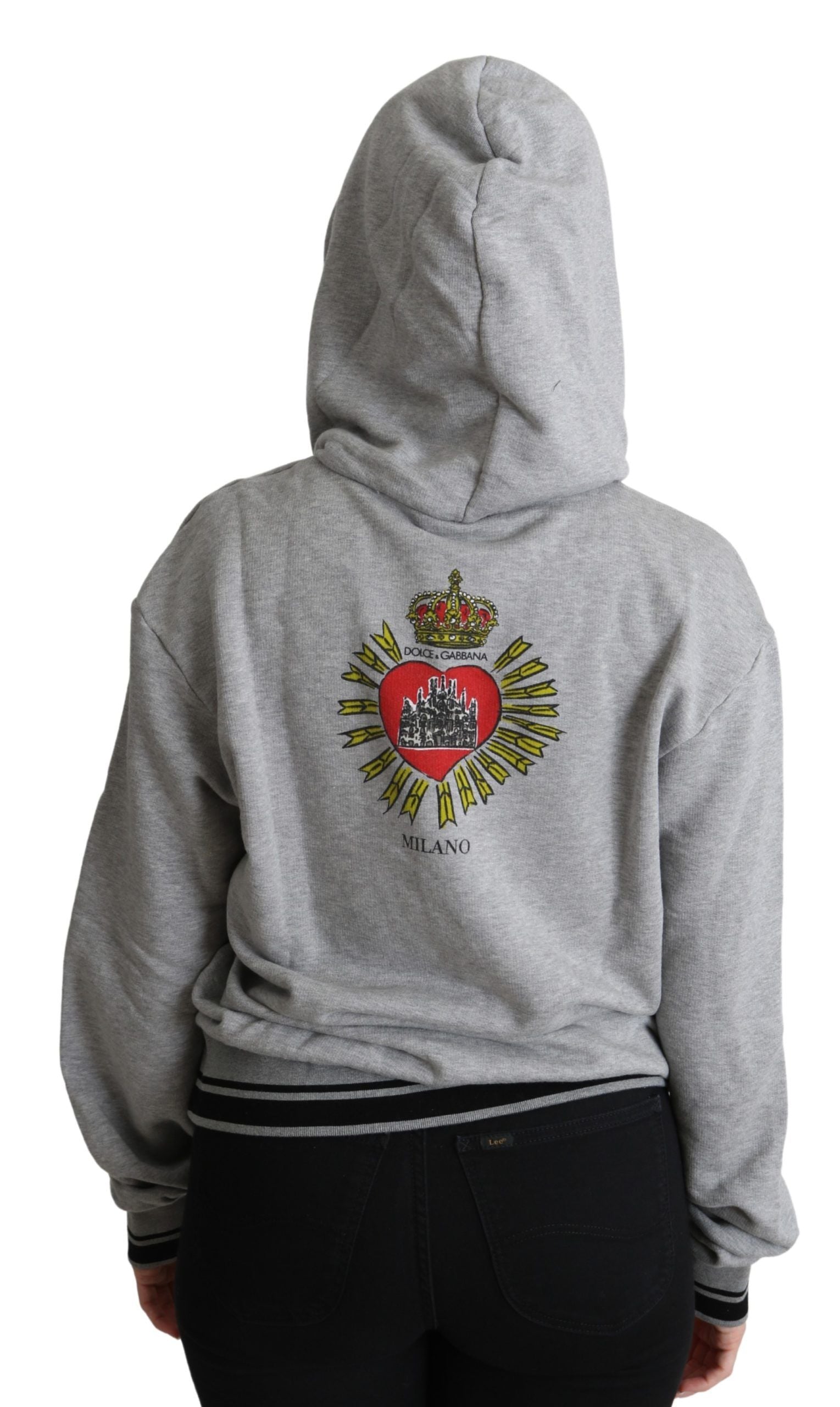 Sweat à capuche gris imprimé Dolce & Gabbana avec logo exclusif, manche longue et design élégant visible sur l'image.
