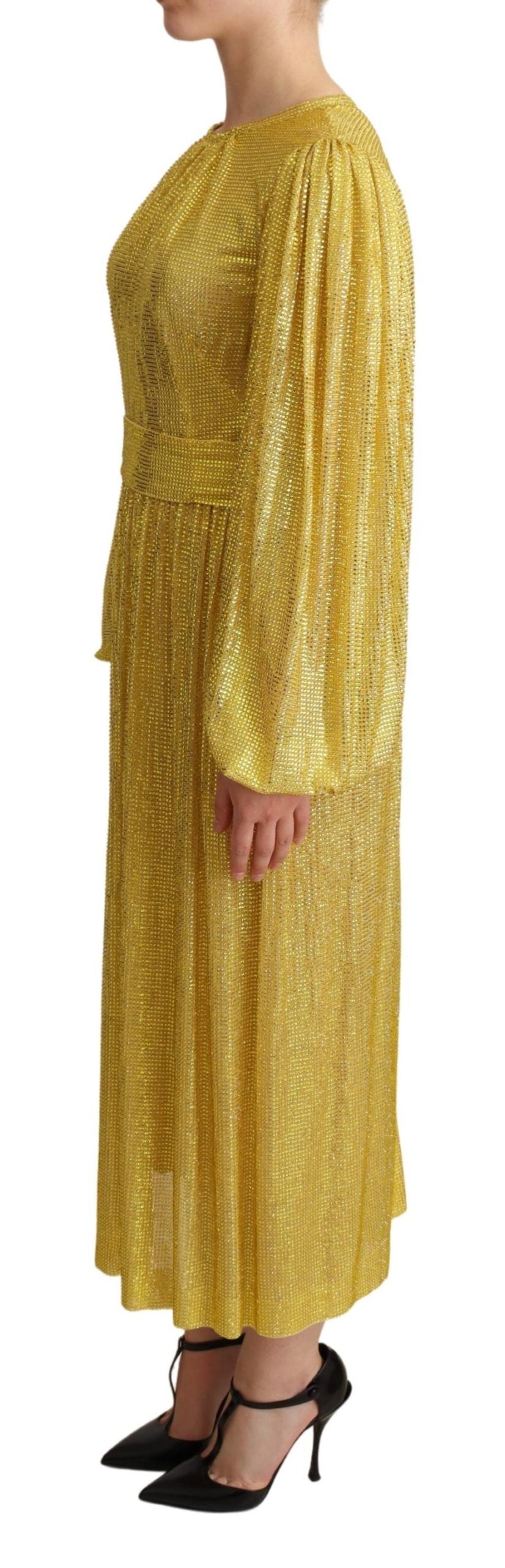 Robe longue plissée en mesh avec cristaux jaunes de Dolce & Gabbana, élégante et sophistiquée.