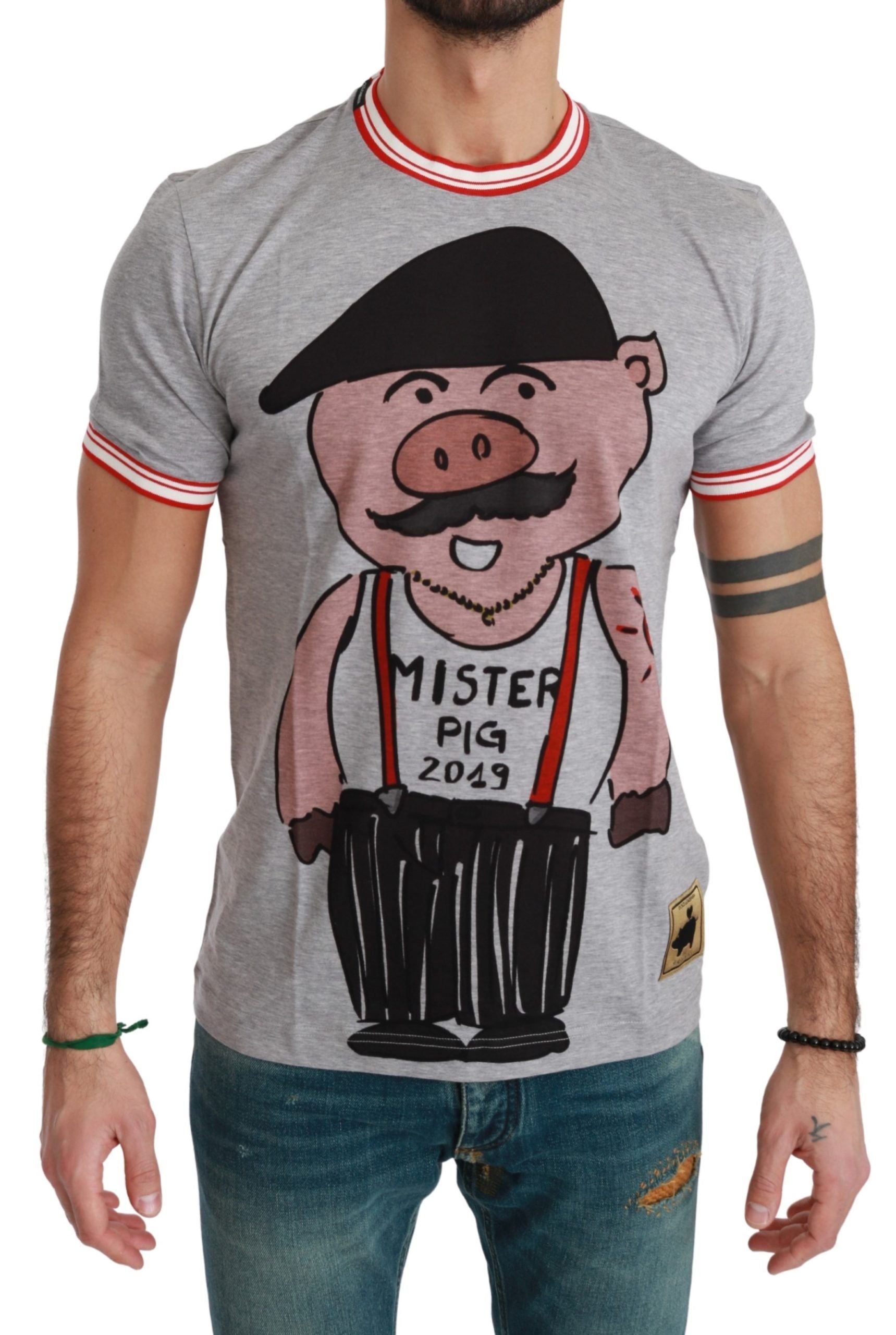 T-shirt gris Dolce & Gabbana Year of the Pig en coton, visible avec motif imprimé et coupe classique.