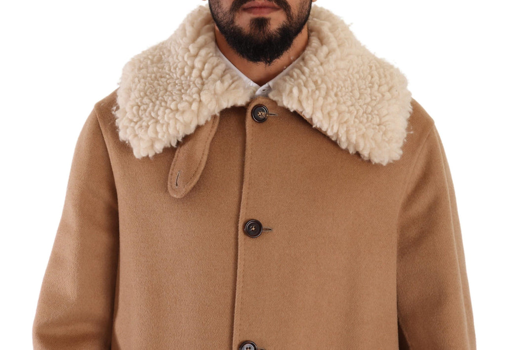 Manteau en cachemire et shearling beige camel Dolce & Gabbana porté sur un mannequin, détails du tissu et coupe élégante visible.