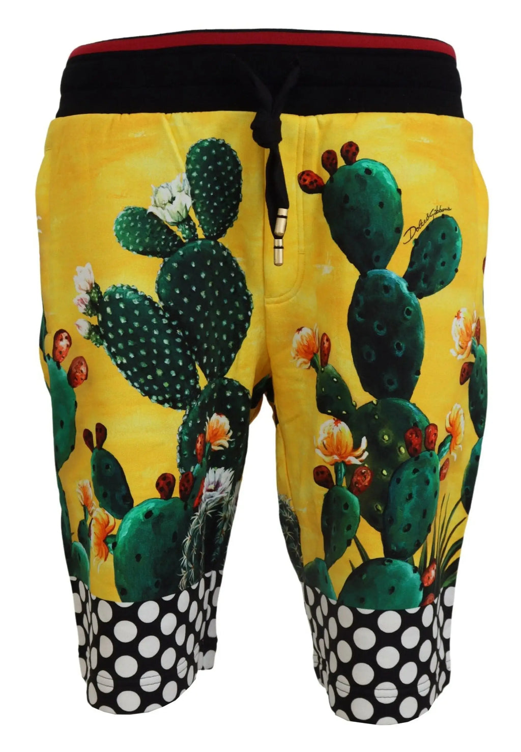 Shorts de survêtement en coton multicolor avec imprimé cactus jaune vif dolce & gabbana à taille noire