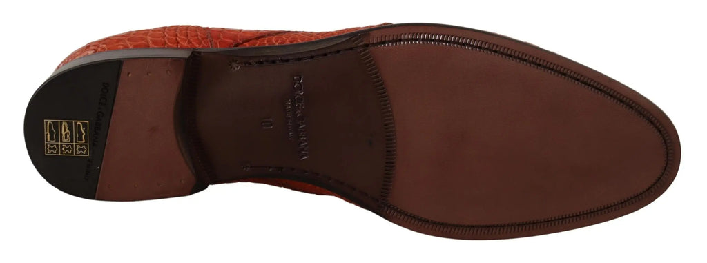 Chaussure derby habillée dolce & gabbana orange en cuir exotique marron avec dessus texturé effet crocodile orange et talon noir