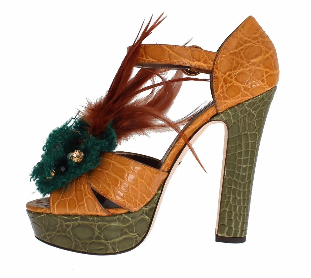Sandales plateformes dolce & gabbana en cuir orange embossé crocodile avec talon vert texturé et plumes brunes