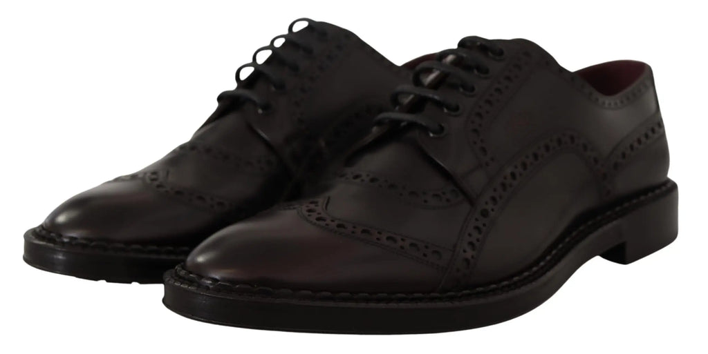 Chaussures formelles oxford wingtip en cuir noir avec motifs perforés détaillés et finition polie de dolce & gabbana