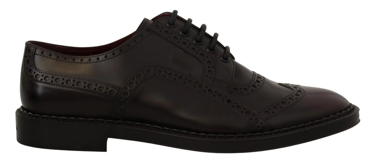 Dolce & gabbana purple leather oxford wingtip formal shoes with dark brown brogue perforated leather and black laces