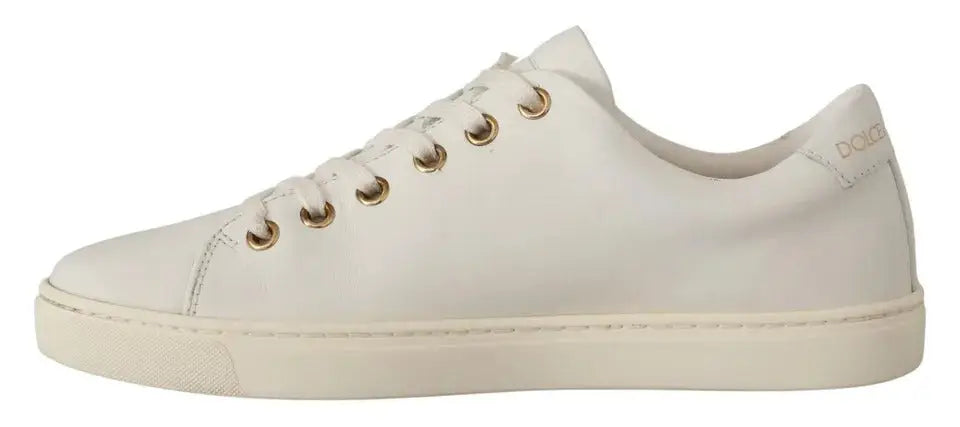 Baskets basses dolce & gabbana en cuir blanc avec œillets dorés et semelle en caoutchouc assortie