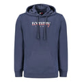 Sweat à capuche tommy hilfiger bleu en coton pour homme avec logo dégradé rose et blanc sur la poitrine